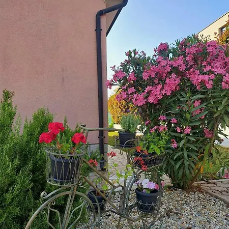 Rosse * Poreč