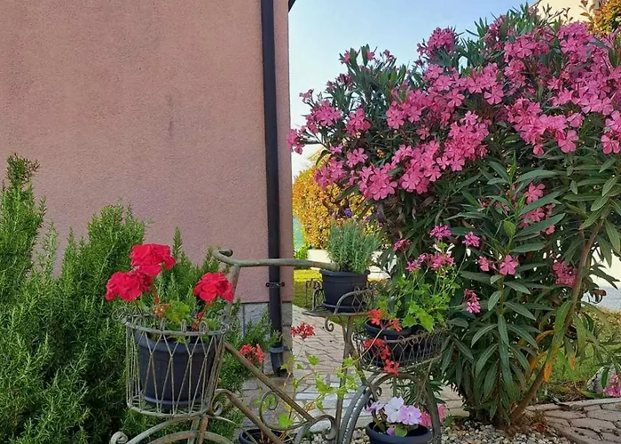 Rosse * Poreč